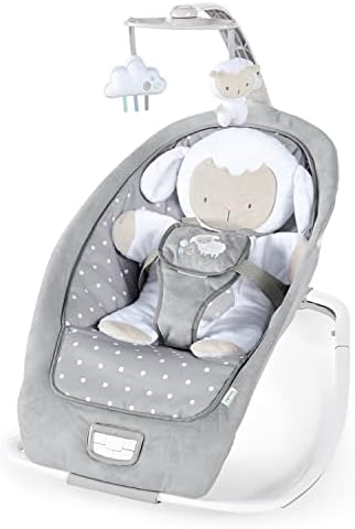 2-in-1 Infant to Toddler Rocker and Baby Bouncer