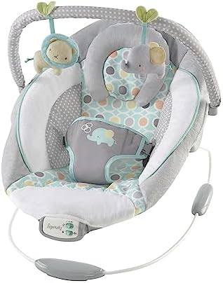 Soothing Baby Bouncer Infant Seat with Vibrations, Morrison